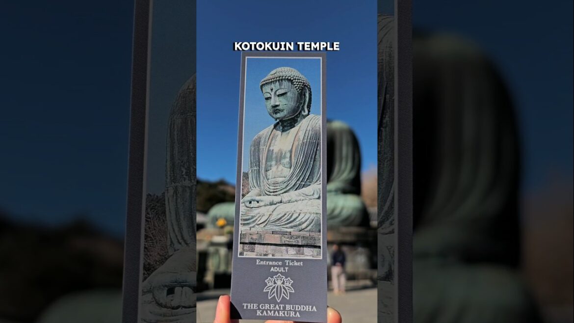 Shrines and temples I visited in Tokyo, Nagoya, Kawagoe, Kamakura (Japan) ⛩️🪷