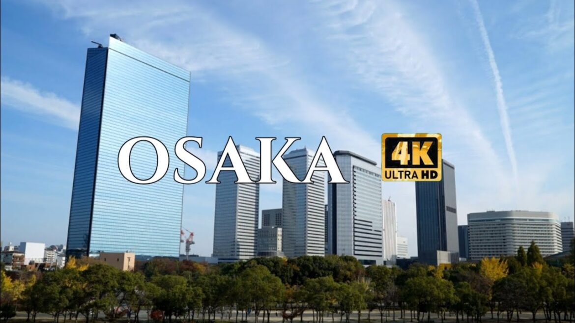 Osaka 大阪市, City in Japan 🇯🇵 by drone