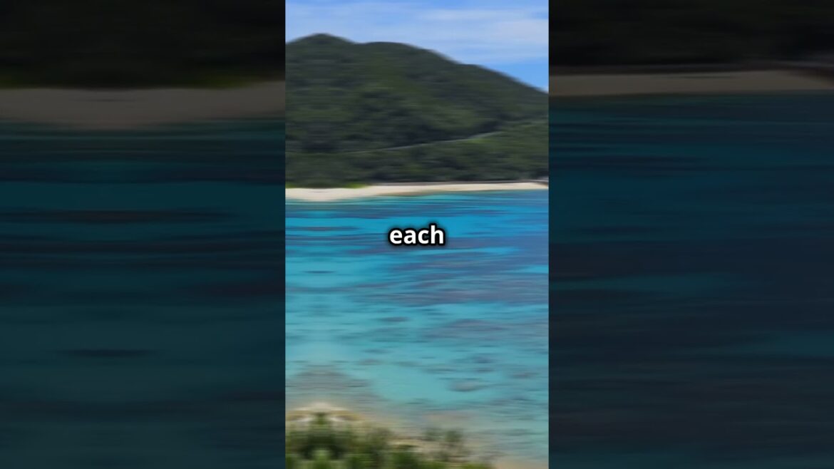 Discover Okinawa, Japan's Secret Tropical Paradise!