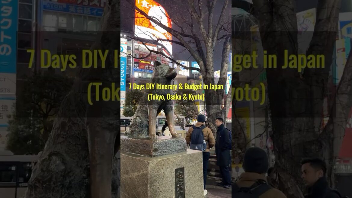 7-Day Japan Itinerary & Budget: Tokyo, Osaka, Kyoto