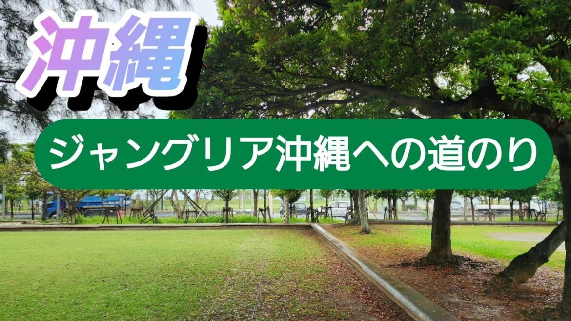 Junglia Okinawa 2025.7.25 Opening The journey from Goga, Nago City