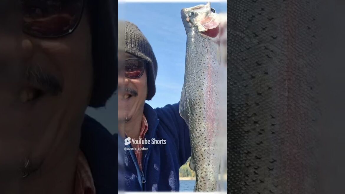 Kamifurano 5 – 上富良野 5 Kamifurano 5 - 上富良野 5