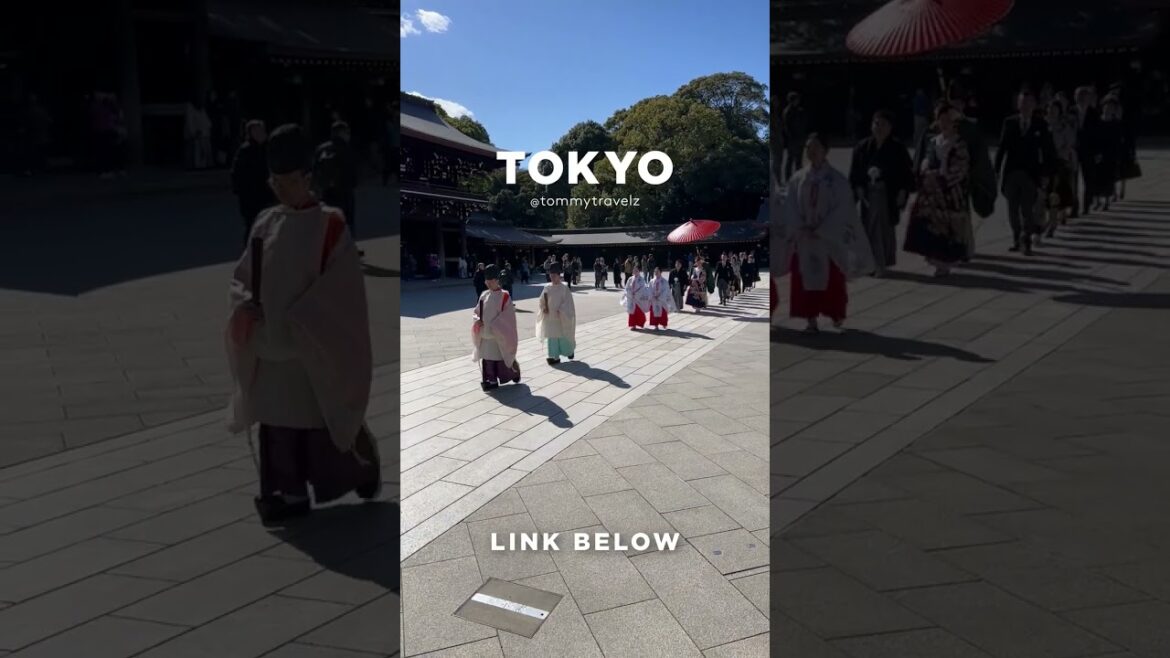 #tokyo #osaka #ohtani #kyoto #shibuya #ginza #onsen #shinjuku #soba #ramen #tokyotravel #japan