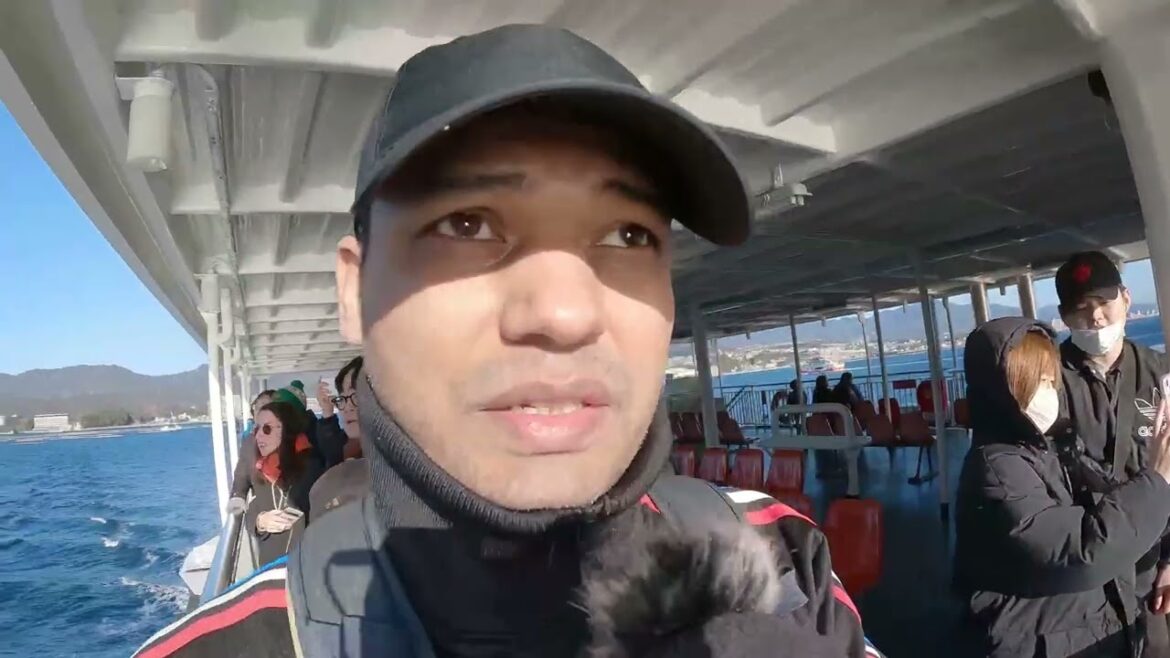 "Deer, Shrines & Views! A Day on Miyajima Island 🇯🇵"