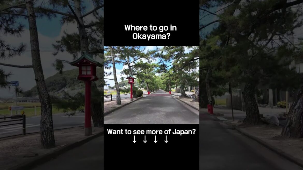 Shinkansen to Okayama - Quick Ride,Unforgettable Trip#ShinkansenJourney #OkayamaTrip