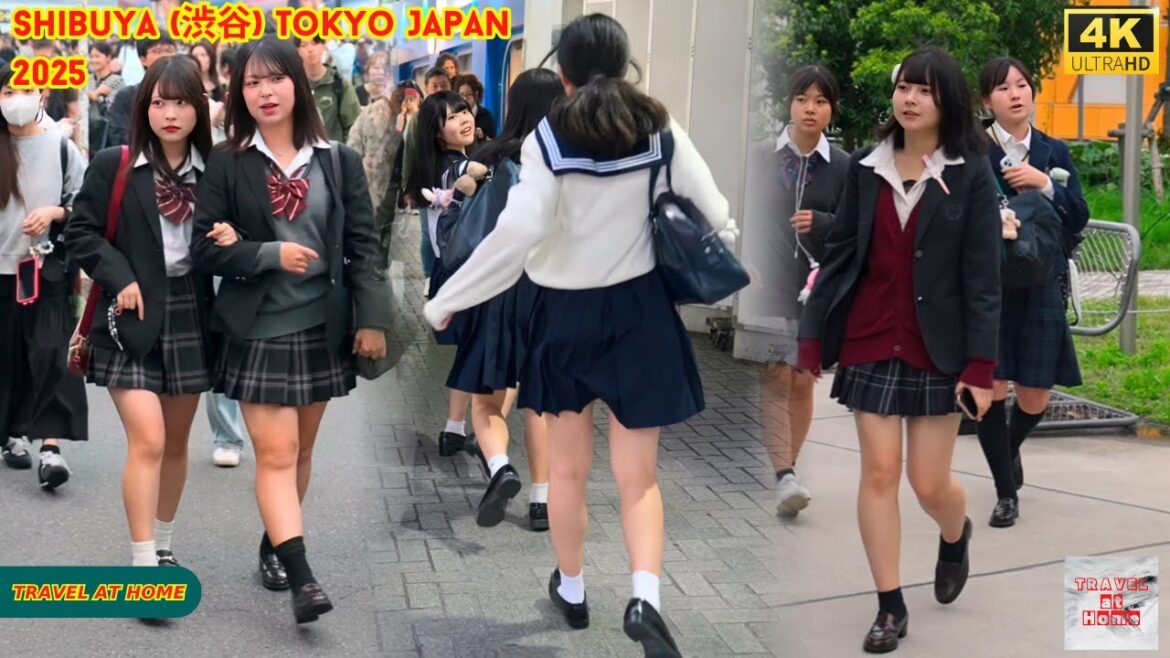 4K HDR Japan travel 2025 | Walk in Shibuya (渋谷) Tokyo Japan |  Relaxing Natural City ambience