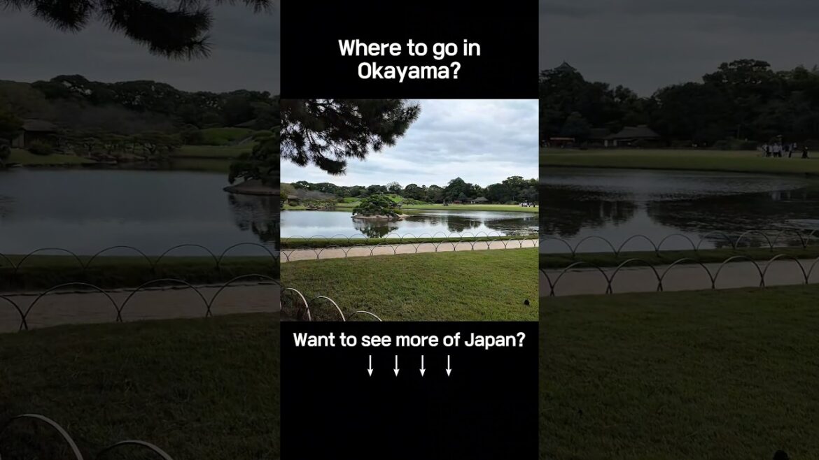 Strolling Through Korakuen! Pure Peace and Beauty in Okayama #JapanVibes #OkayamaGarden #japantravel