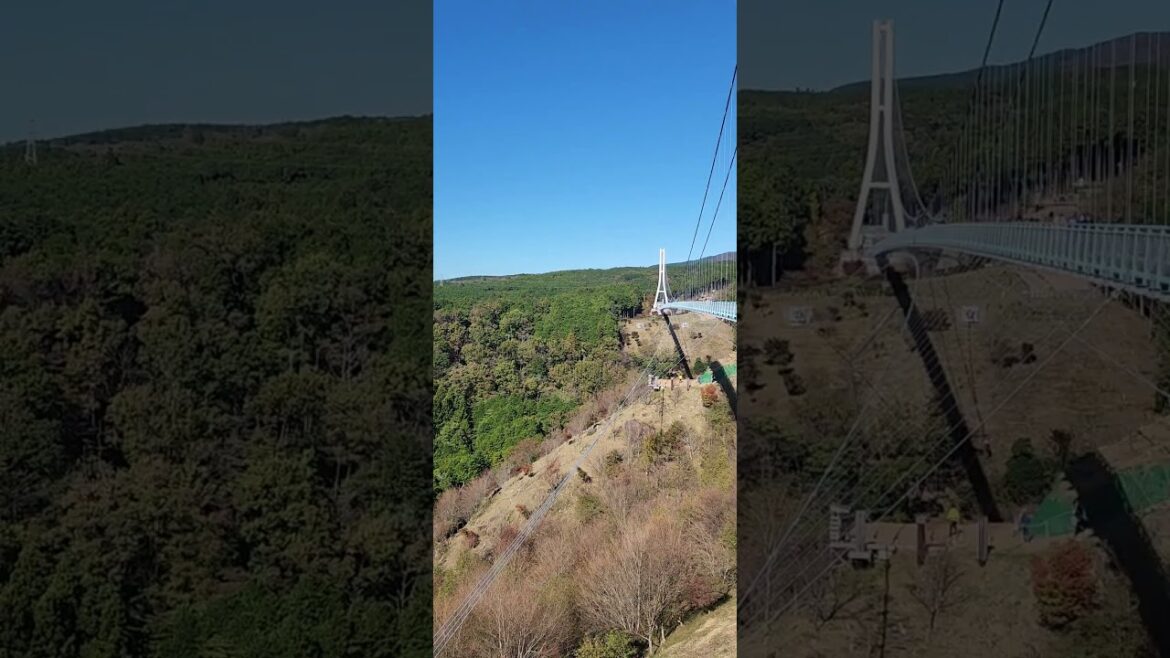 Mishima Skywalk and suspension bridge on a beautiful spring day! Check out this Mt Fuji VIEW!