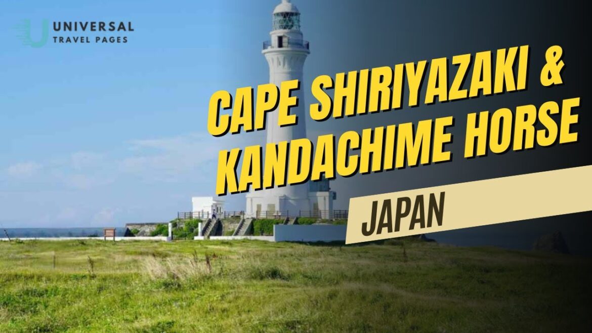 Cape Shiriyazaki & Kandachime Horses | Wild Beauty of Northern Japan Cape Shiriyazaki & Kandachime Horses | Wild Beauty of Northern Japan