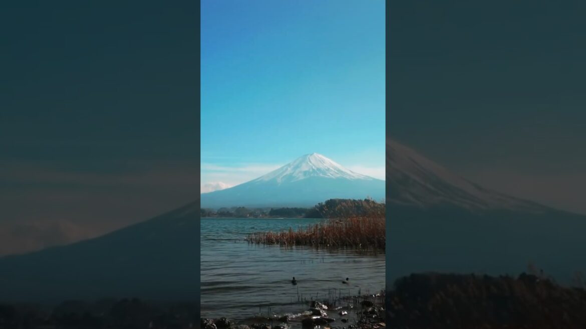 Mount Fuji sightseeing