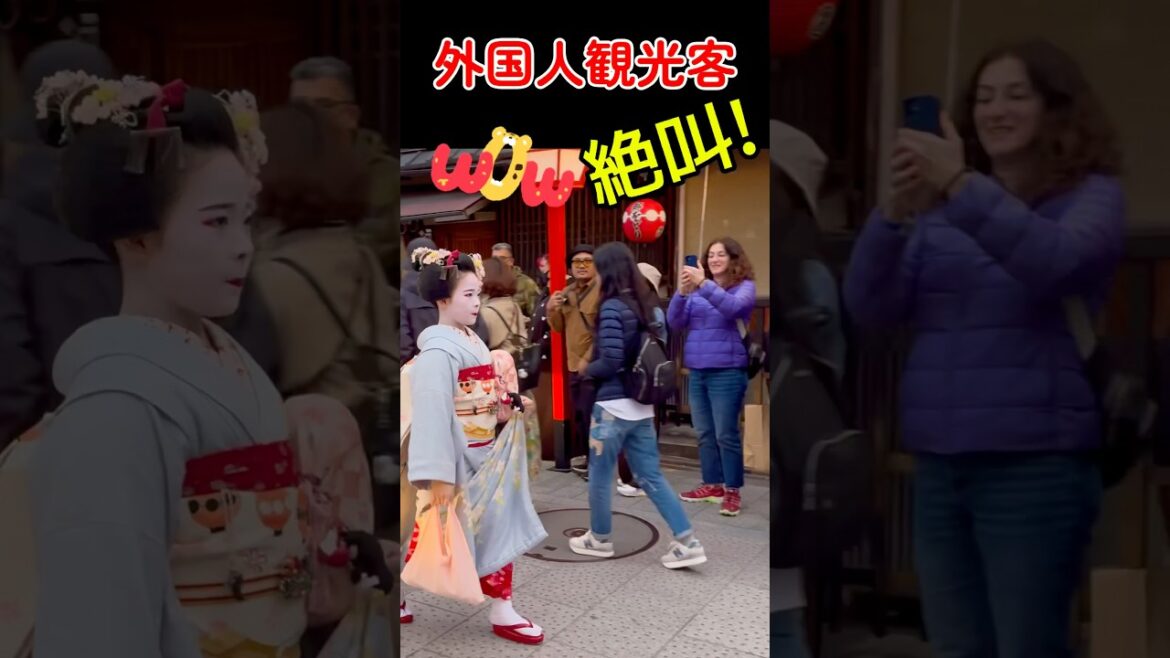 舞妓さんに外国人観光客、絶叫!京都祇園の花見小路。Foreign tourists scream at maikos at Hanamikoji in Gion, Kyoto. 舞妓さんに外国人観光客、絶叫!京都祇園の花見小路。Foreign tourists scream at maikos at Hanamikoji in Gion, Kyoto.