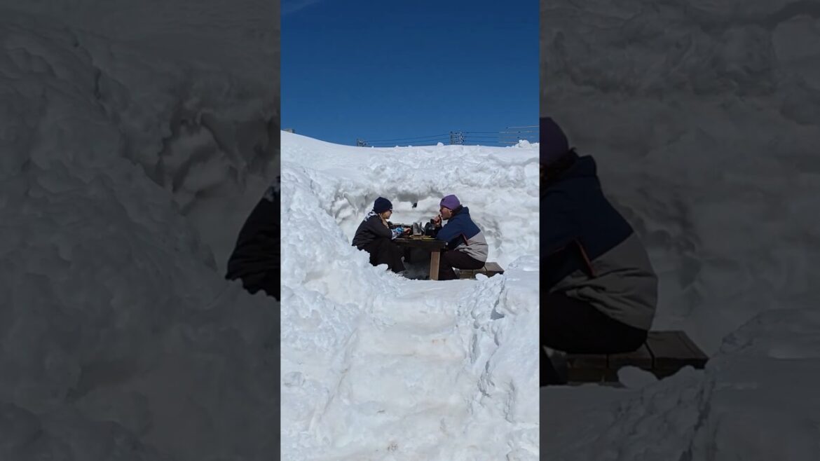 [Travel Vlog] Hakuba #2 | Tsugaike snowboarding resort