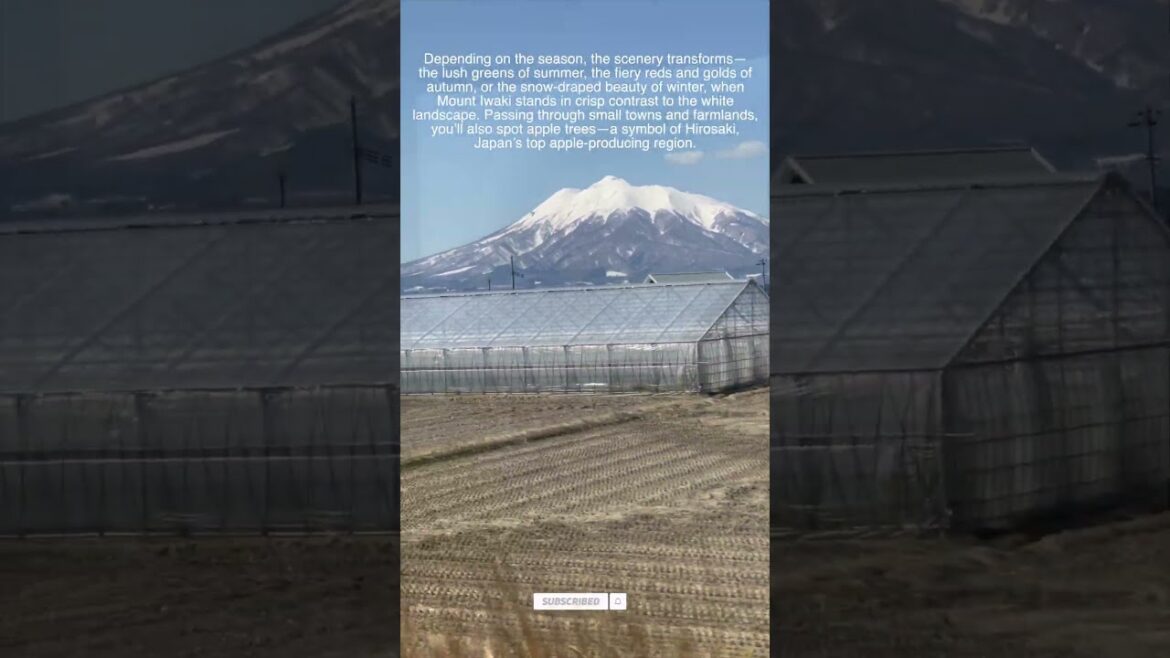 Japan - Amori to Hirosaki - Mount Iwaki (5)