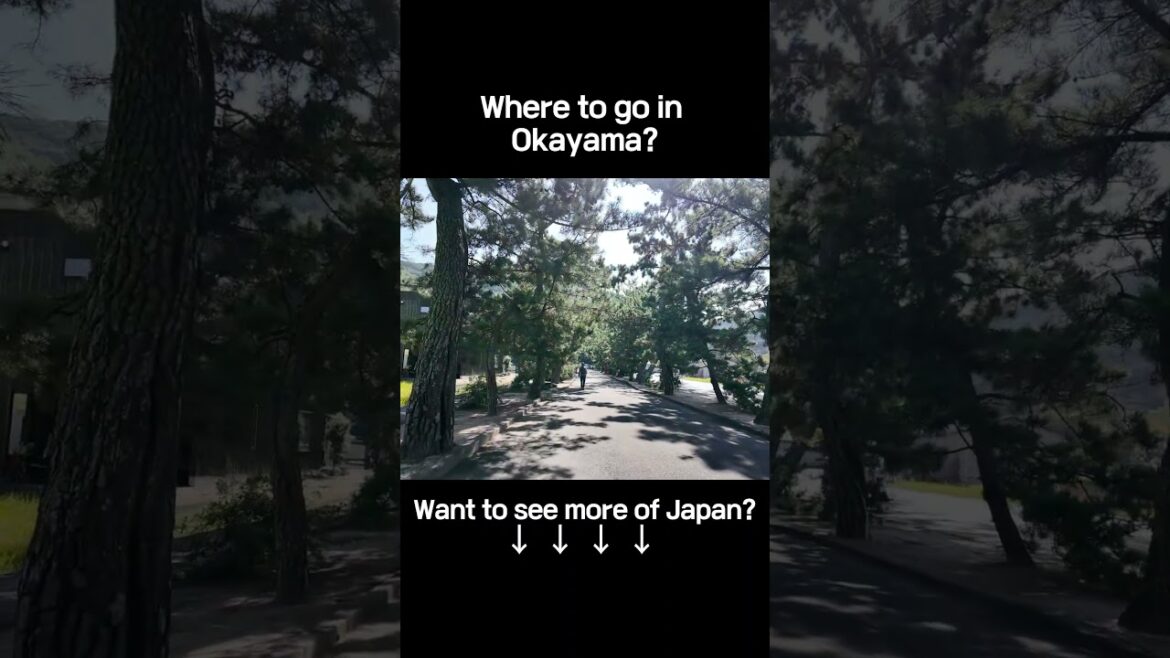 Kibitsu Shrine in Okayama - Where Nature Meets History#0kayamaShrine #TravelJapan #Nature
