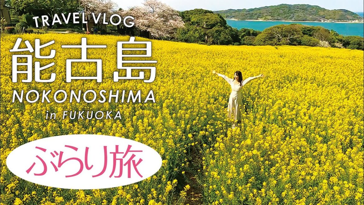 [福岡]フェリーで10分の能古島はどんな所？