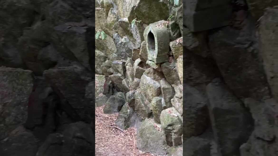 This Mysterious Stone Passage Led To Something UNBELIEVABLE #japan #kyoto #travel