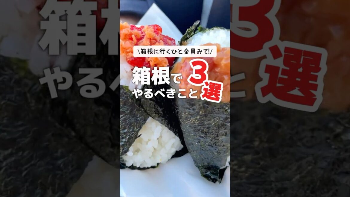 箱根に行くひと全員見て！箱根でやるべきこと3選 #shorts #箱根 #スポット