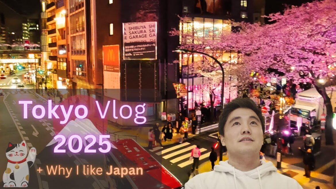 Tokyo Trip [2/2] 🇯🇵 2025 Day 3-4 : Why I like Japan so much🍜🍱🍣