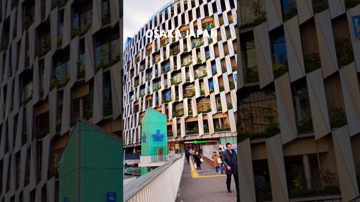 Osaka Expo 2025 ! travel video #trending #shorts #ytshorts #vlog #viralvideo Osaka Expo 2025 ! travel video #trending #shorts #ytshorts #vlog #viralvideo