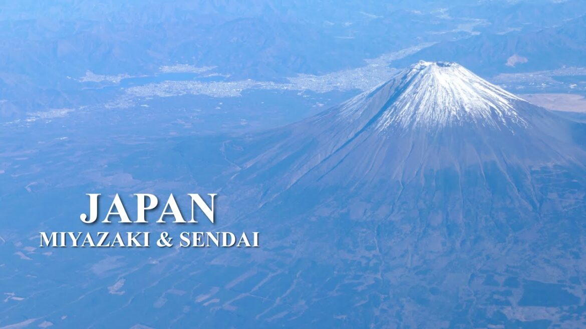 【一時帰国🇯🇵】 3年ぶりの日本！/宮崎人と仙台人が行く地元グルメ/日本食はやっぱり最高✨/2024年12月