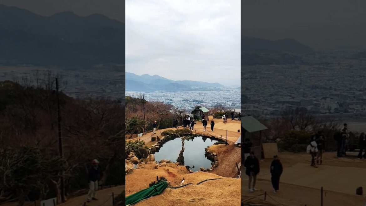 Kyoto Travel Vlog 2025 | #shorts #love #trending #ytshorts