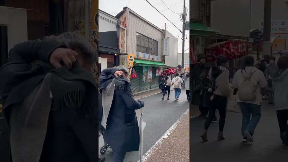 【KYOTO】Everyday Common Scene – Tofukuji Station 【KYOTO】Everyday Common Scene - Tofukuji Station