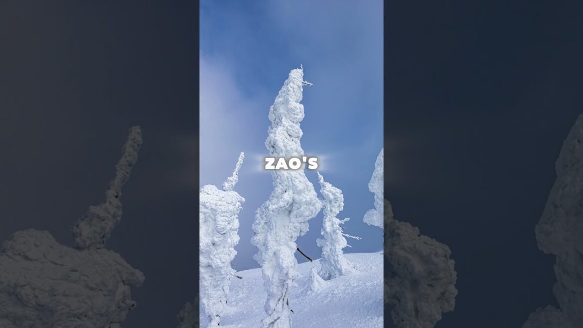 Zao Onsen – Japan’s Legendary Hot Springs & Snow Monsters #zaoonsen #skiing #travelshorts #japan Zao Onsen – Japan’s Legendary Hot Springs & Snow Monsters #zaoonsen #skiing #travelshorts #japan