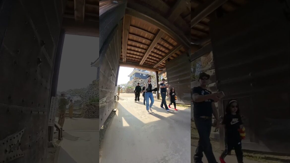 Finding our way into the Hamamatsu Castle      #linkinpark #japan #castle #traveling #trip #walking