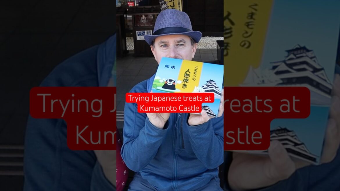Red bean or chocolate? #kumamotocastle #traveljapan