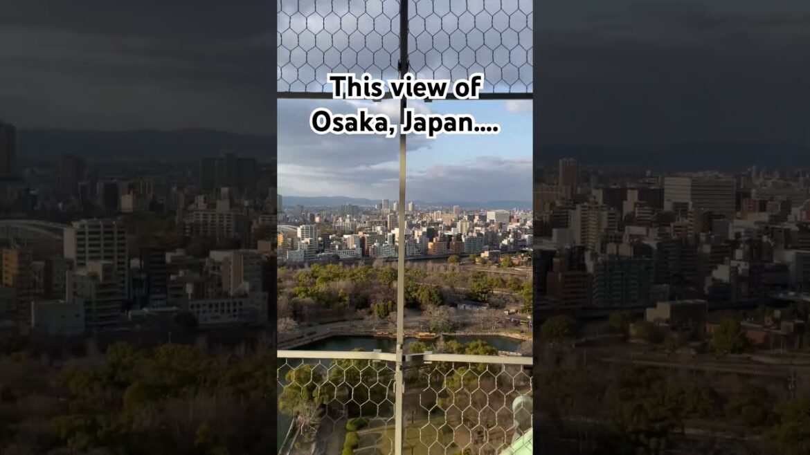 Have you been to Osaka, Japan yet? #OsakaCastle #Osaka #Japan #fyp #travel