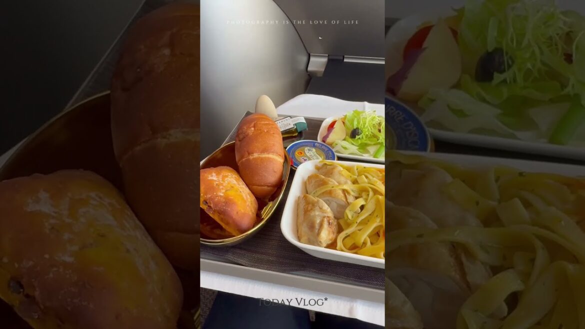 【2025 仙台】#1 仙台Day1 #travel #旅行 #短影音 #仙台 #飛行記錄 #機上富士山