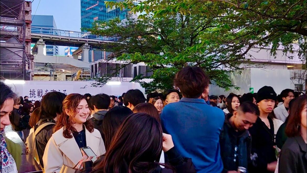 Shibuya Evening View & Walking Tour. Tokyo, Japan.