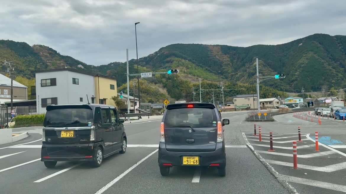 Saturday, April 5, 2025 | Driving in Shizuoka Prefecture at National Route 1