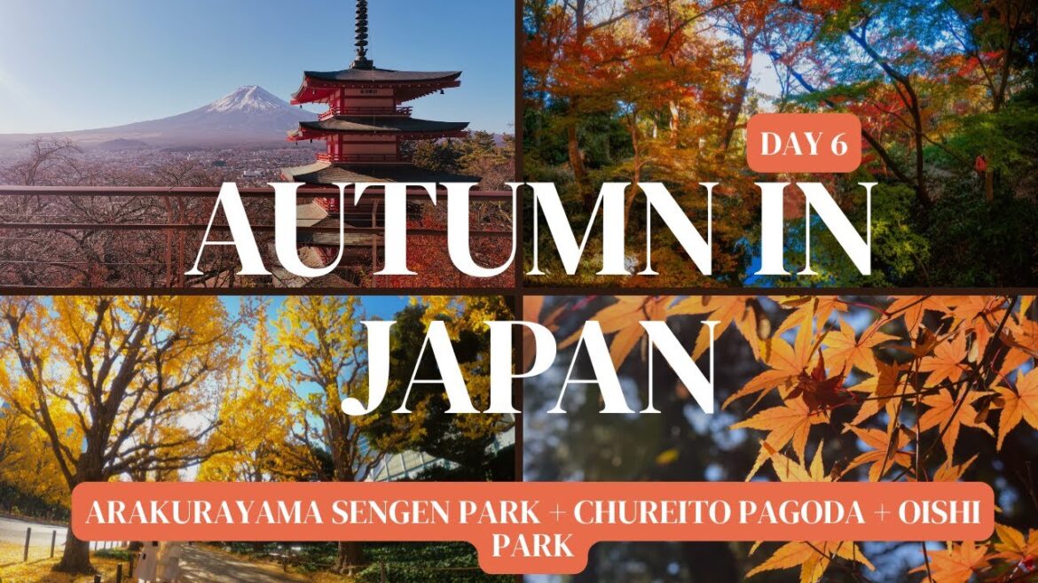Japan Day 6 Arakurayama Sengen Park + Chureito Pagoda + Oishi Park