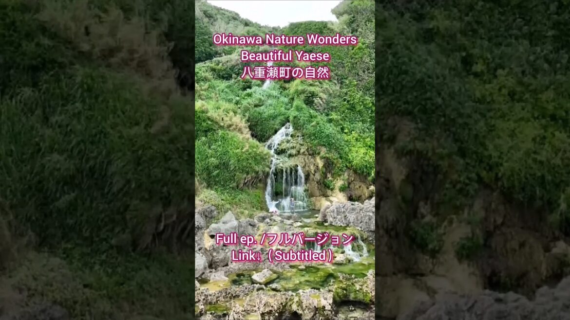 【 #Japan #Discovery #Okinawa 】 #八重瀬町 #Nature #HiddenGem in #Yaese / Okinawa 【 #沖縄 #自然 #歴史 】