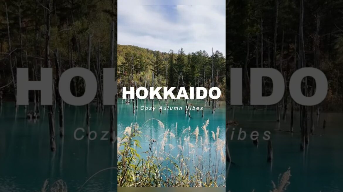 Peaceful Autumn Road Trip in Hokkaido 🍂✨