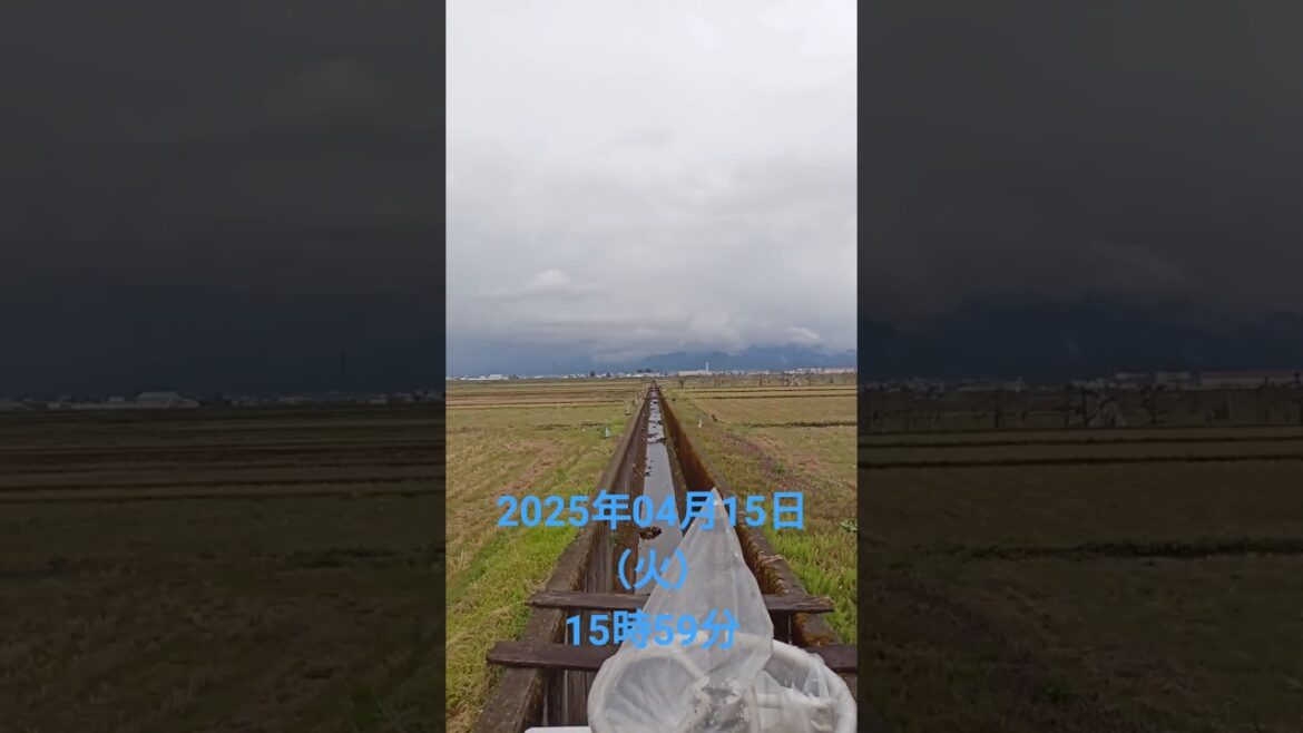山形県寒河江市散歩にて撮影2025年04月15日（火）15時59分
