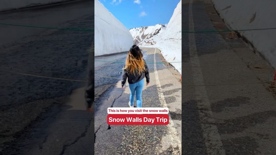 𤯠Snow walls taller than houses?! Hereās a wild day trip in Japan! 𤯠Snow walls taller than houses?! Hereās a wild day trip in Japan!