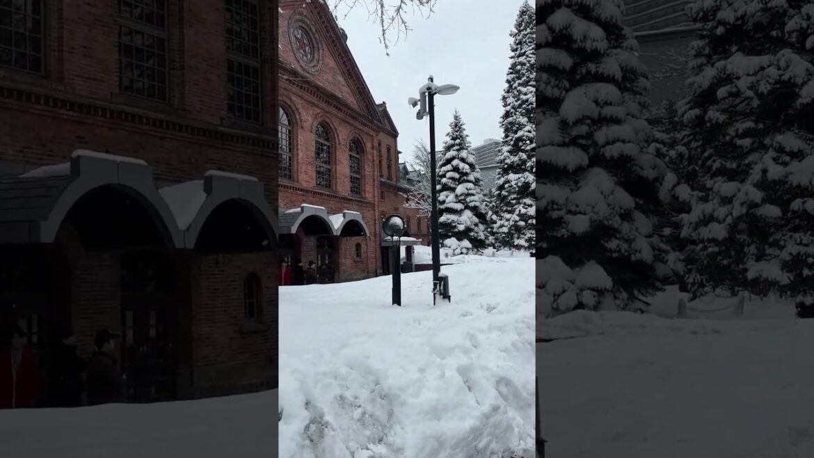 Walk in Snowy Street of Sapporo | Japan #snow #autumn #spring #winter #travel