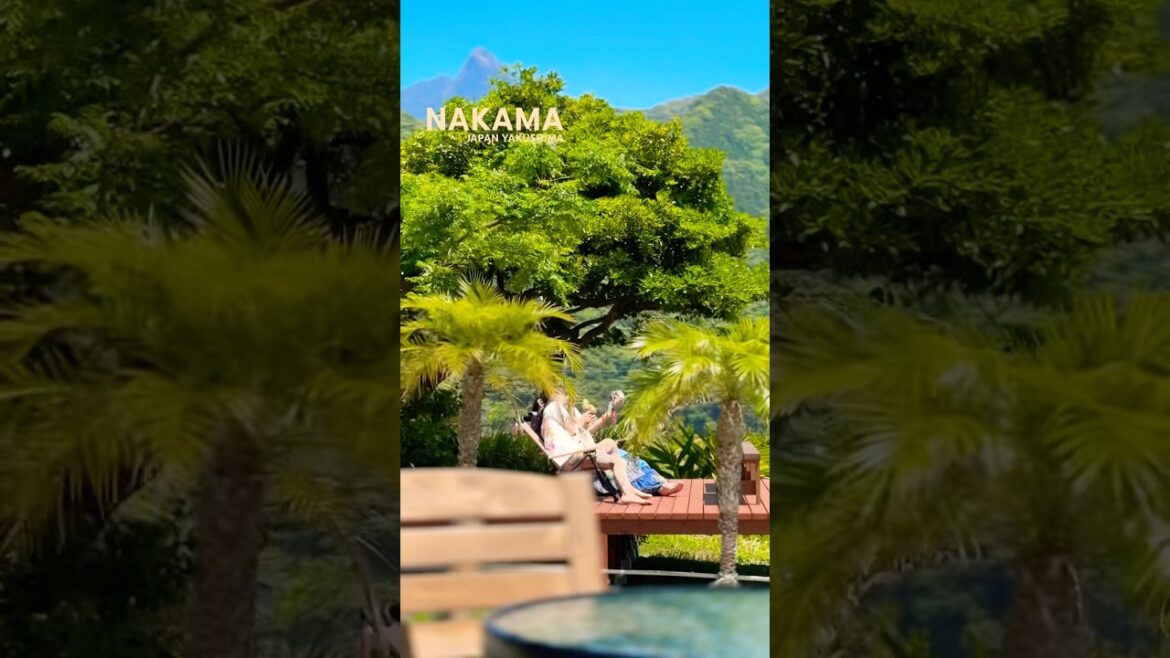 🌊 Nakama traumhaftes Restaurant atemberaubende Aussicht türkisblaues Meer pure Magie #Japan