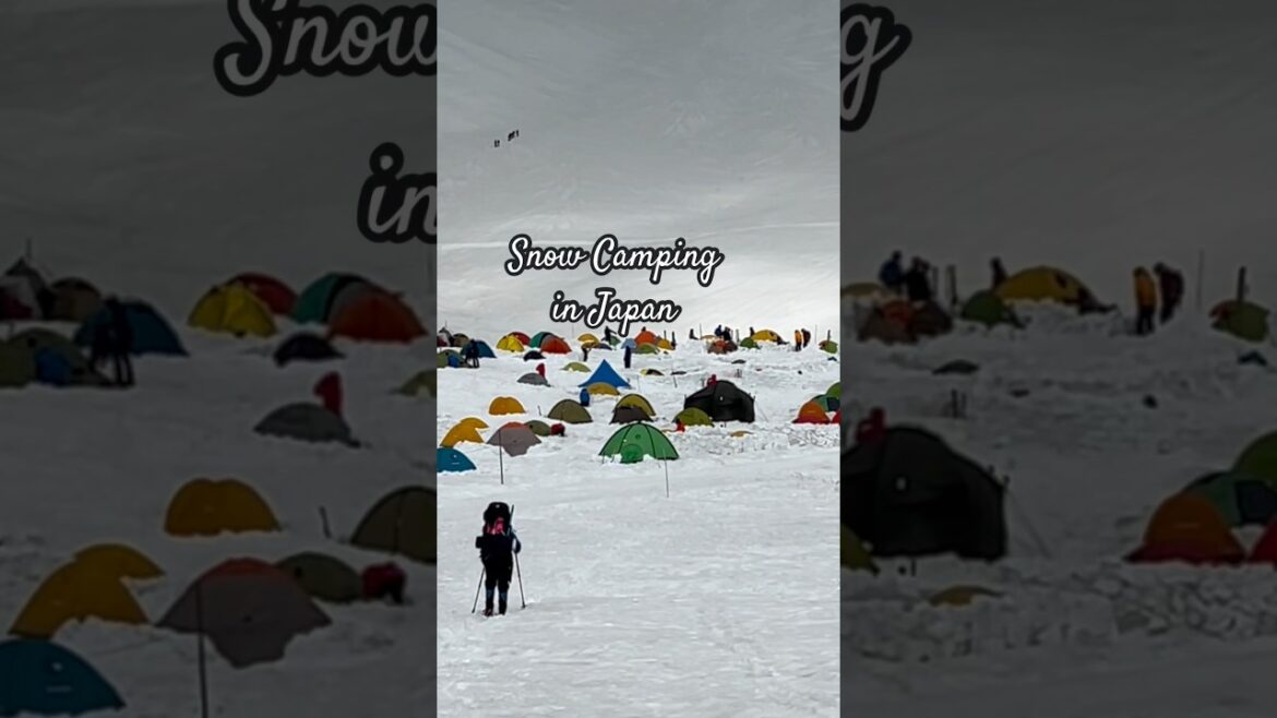 How it feels like to camp with snow #japan #travel #tateyama #camping #hiking #adventure #mountains