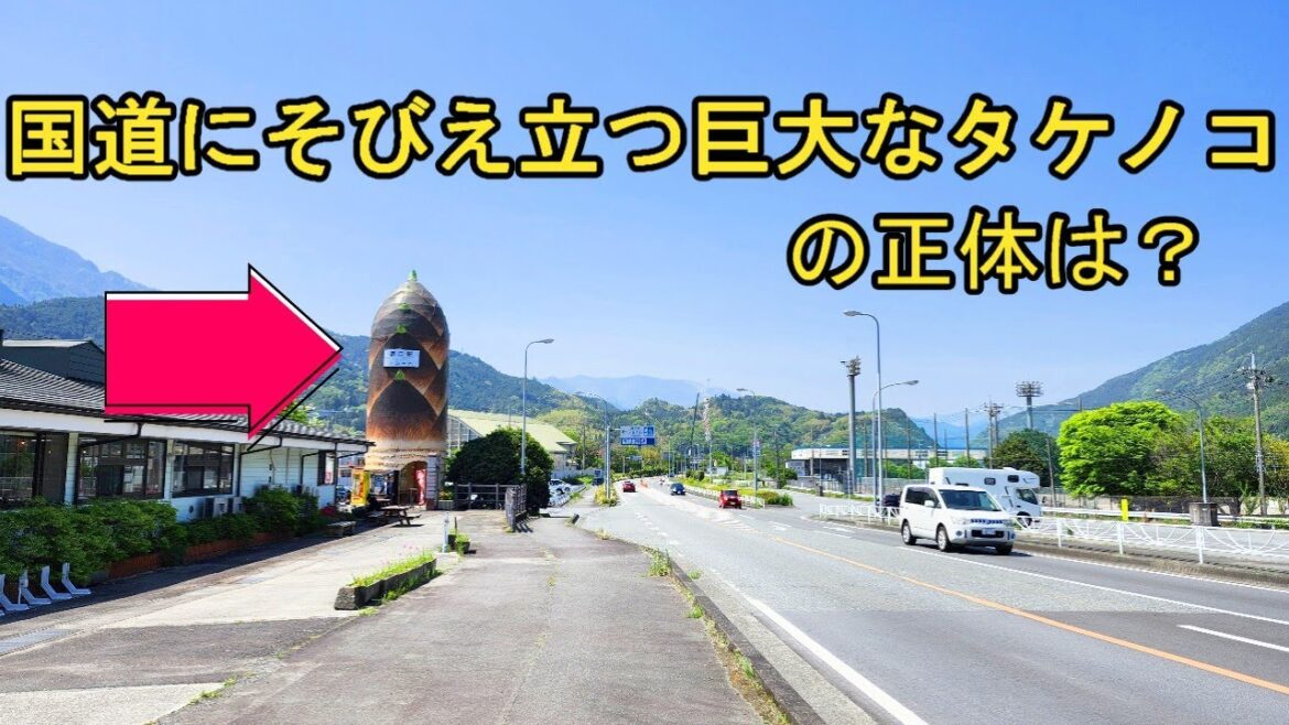 【４K】国道に巨大なタケノコの正体は？【身延駅周辺散策・道の駅とみざわ】#道の駅 #旅行 #グルメ好き #たけのこ