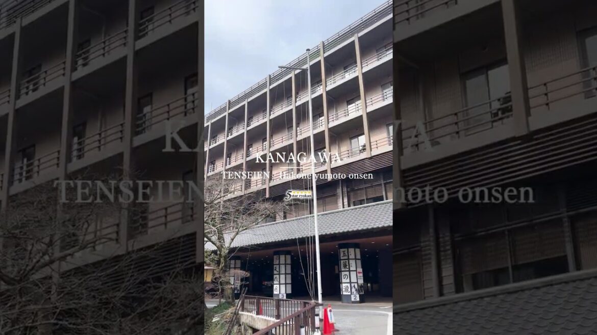 TENSEIEN (天成園)｜Hakone Yumoto Onsen,Kanagawa