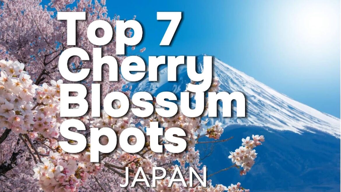 Top 7 Cherry Blossom Spots in Japan You MUST See! 🌸✨ | Ultimate Sakura Guide 2025