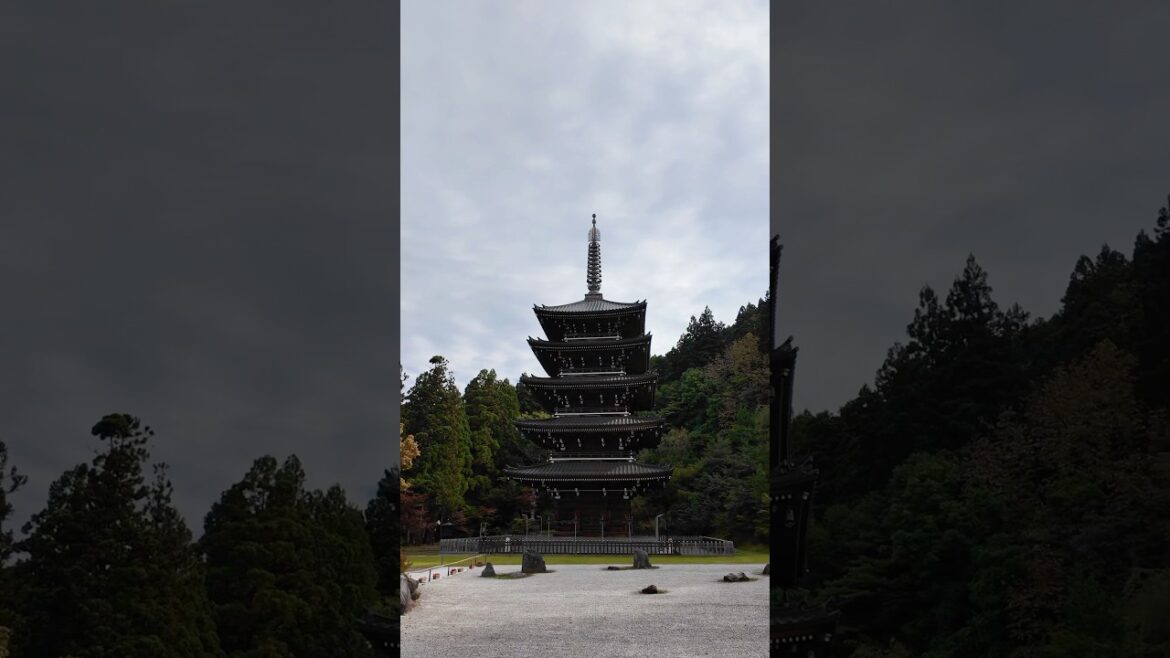 #japan #japantravels #aomori