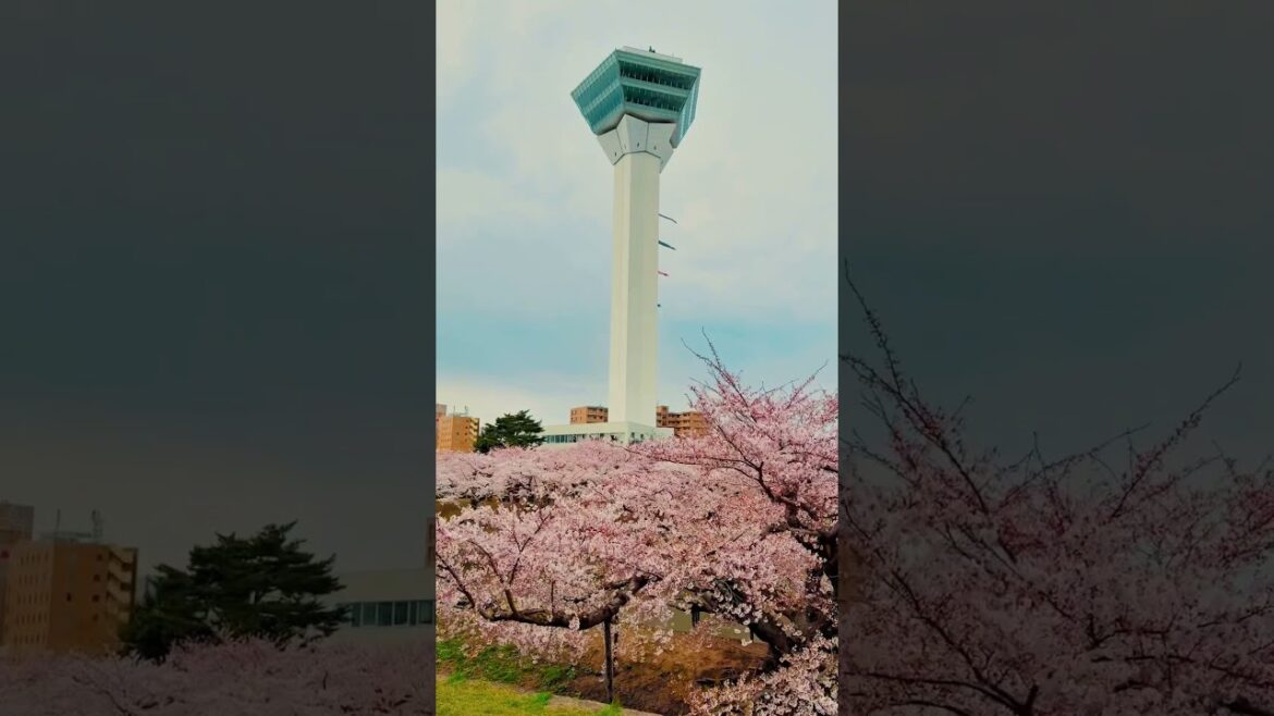 Guess what anime this location’s from  #animesports #japantravel #Hakodate #hokkaido