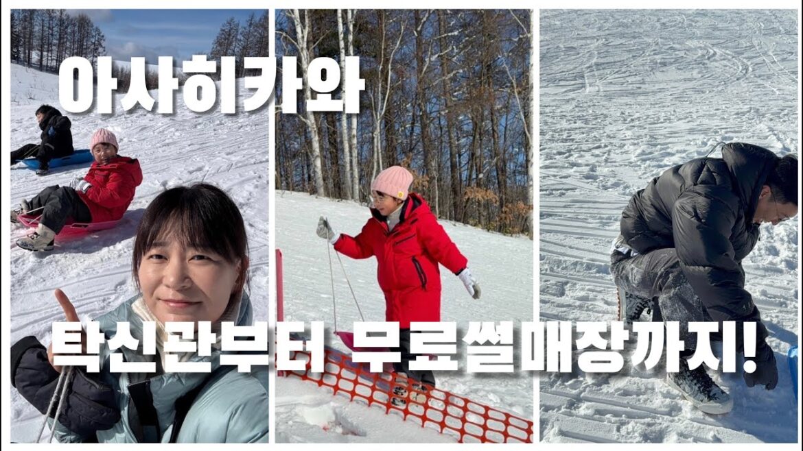 아사히카와 비에이 탁신관 부터 전세내고 쓰는 무료 썰매장까지!