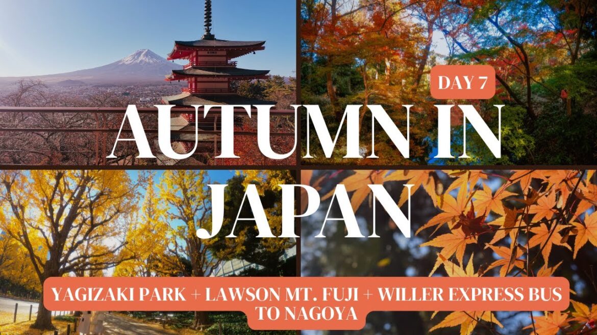 Japan Day 7 Yagizaki Park + Lawson Mt. Fuji + Willer Express Bus to Nagoya