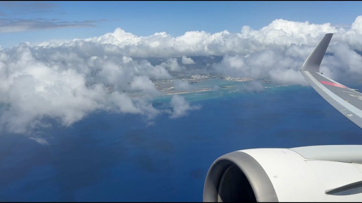 JAL Business Class: Honolulu to Narita (Tokyo) Japan, HNL Sakura Lounge JAL Business Class: Honolulu to Narita (Tokyo) Japan, HNL Sakura Lounge