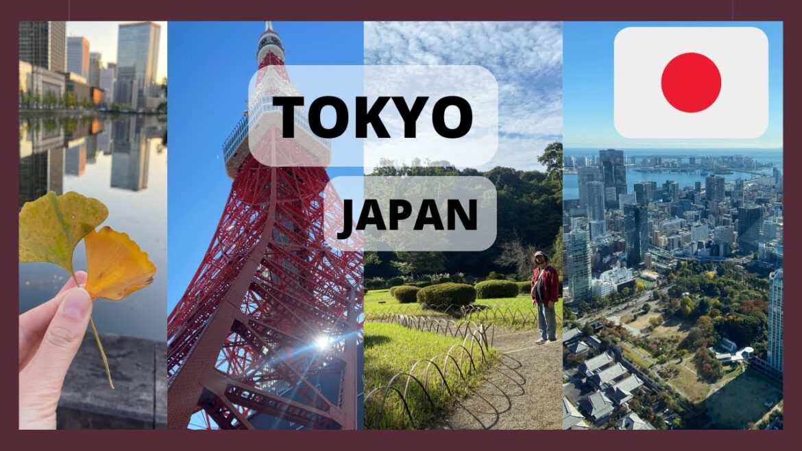 #1 Japan 🇯🇵 Tokyo: Travelvlog | 6 Days in Tokyo: Amazing Food and Must Visit Places 🍜✨